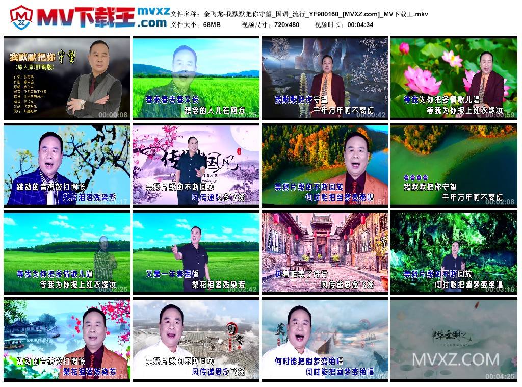 余飞龙-我默默把你守望_国语_流行_YF900160